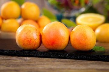Fresh Ripe Apricots on Slate Board - Organic Stone Fruit from Xinjiang China