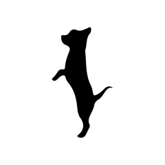 Silhouette dog standing on hind legs: A striking silhouette captures the playful posture of a dog standing on its hind legs, its form exuding energy and charm.