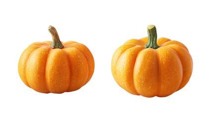 Two small, orange pumpkins (1)