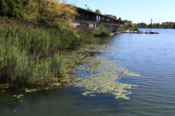 Bras du vieux Danube à Vienne en Autriche avec pontons et bases de loisirs nautiques