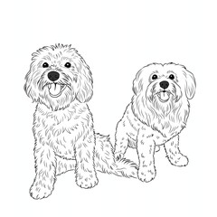 dog, puppy, line art animals