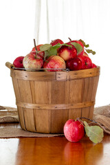 Wooden basket filled with freshly picked apples