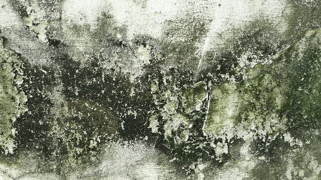 Old, peeling, dirty cement walls.