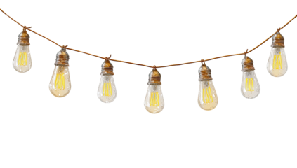 String of warm-toned Edison-style light bulbs hanging on a brown cord