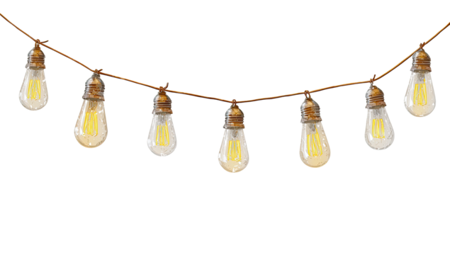 String of warm-toned Edison-style light bulbs hanging on a brown cord