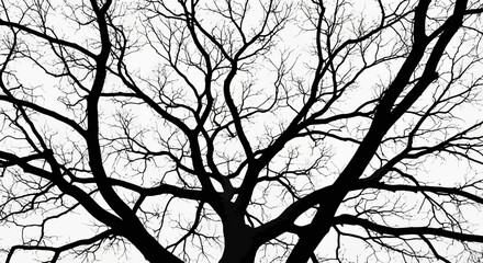 Vector art of intricate network of bare tree branches against a, creating a stark, graphic silhouette symbolizing complexity and natural structure