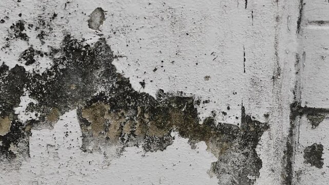 Old, peeling, dirty cement walls.
