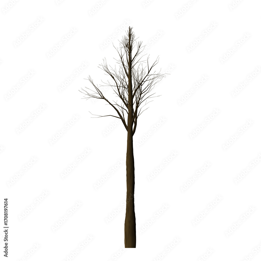 Poster a single tree with brown leaves and a brown trunk against a black background in a simple presentatio
