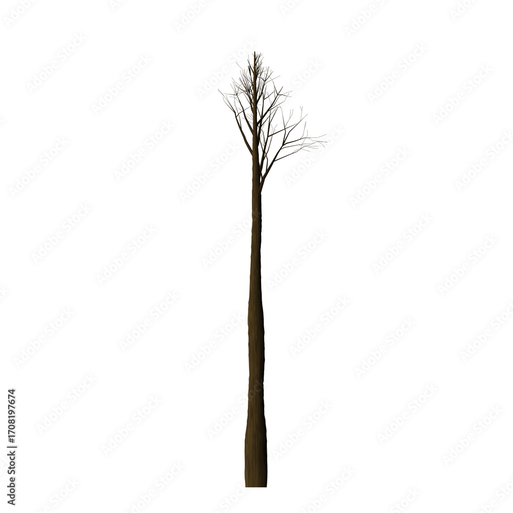 Aufkleber a single tall tree with sparse foliage stands against a stark black background in a minimalist setti