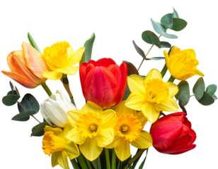  Autumn Apple Picking Basket, Angled Top View, Isolated PNG.