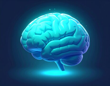 3D blue medical illustration of the human brain showing anatomy and neural structure