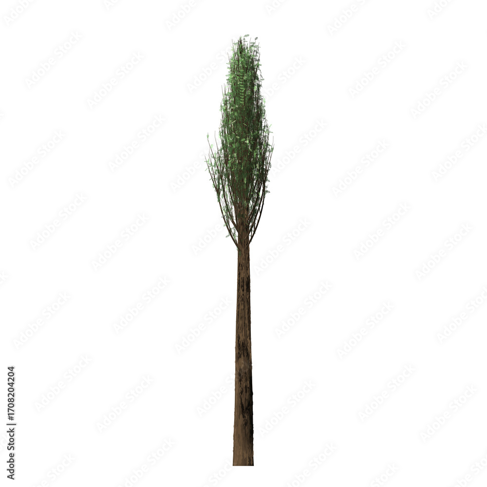 Poster a single tall tree with green leaves and a brown trunk isolated against a black background in a clea
