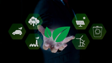 Business hands holding the green leaf for the Sustainable Development Goals. Climate neutral long term strategy. Decarbonization, Greenhouse gas emission target. Responsibility for the environment.