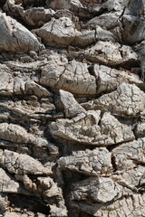 Faux-tronc de palmier en écailles en gros-plan