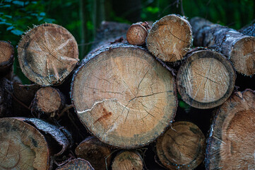 A stack of cut wooden logs with visible grain
