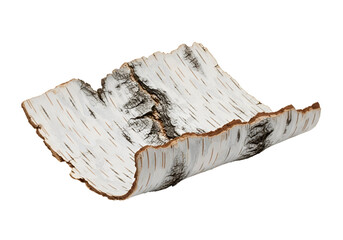 A detailed close-up view of a birch bark, showcasing its natural texture and intricate patterns.