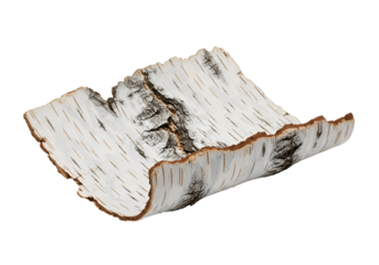 A detailed close-up view of a birch bark, showcasing its natural texture and intricate patterns.