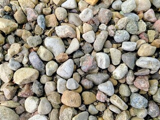 Closeup of small round pebbles on the ground