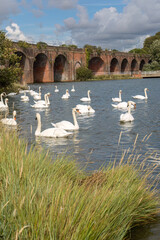 Fareham quay railway viaduct 