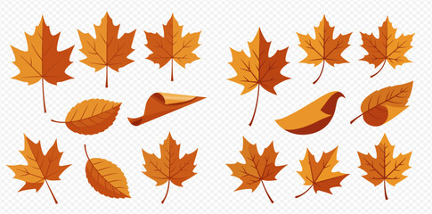 A vibrant collection of autumn maple leaves and other foliage in various shades of orange and brown, depicting the fall season.