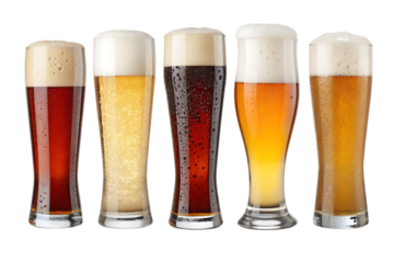 lager pilsner pale bock porter beer guide