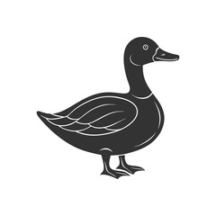 Cute vector illustration of a duck isolated on white background