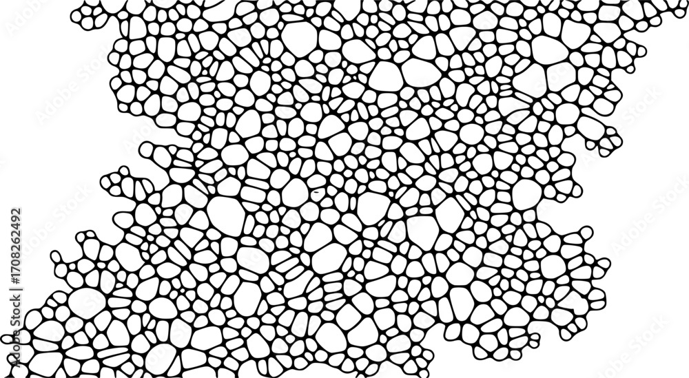Wall mural abstract organic cell network pattern texture background digital art organic cellular structure vect