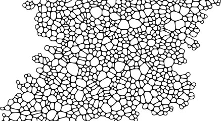 Abstract organic cell network pattern texture background digital art organic cellular structure vector