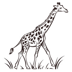 Naklejka premium Cartoon Giraffe Outline in Nature, Africa's Tallest Animal