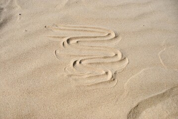Curved patterns in smooth beige sand dunes