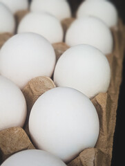 Fresh chicken eggs in carton