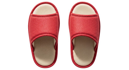 Isolated Slippers