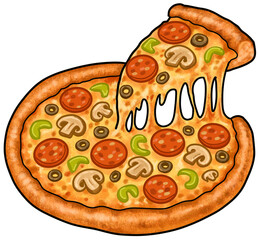 pizza on a white background