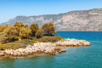 Fototapety na wymiar - Fototapeta24.pl