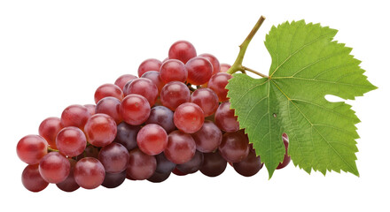 Obraz premium Isolated Bunch of Grapes