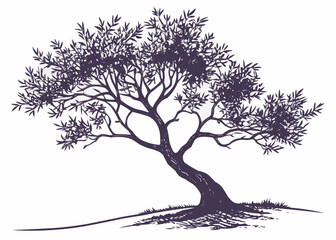 Silhouette Icon of an Olive Tree Isolated on White Background