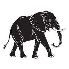 Obraz premium Silhouette of an african elephant walking, isolated on white background