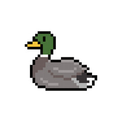 Fototapeta premium duck goose draw pixel art