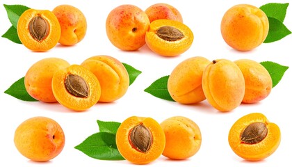 Collection of Fresh Ripe Apricots with Leaves, Isolated on White Background