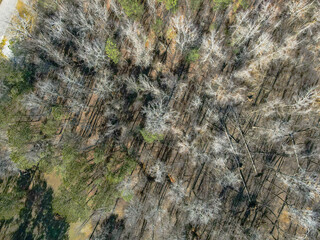 Aerial top down Grovetown suburb in winter after Hurricane Helene in Appling Augusta Georgia