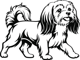 Cute fluffy small dog walking illustration in black and white, long hair, friendly expression, playful pose, perfect for pet lovers artwork