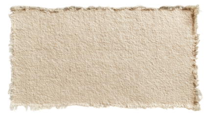 Beige paper fragment with frayed edges