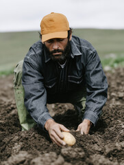 A bearded male farmer wearing a yellow cap is harvesting potatoes in a plowed field. Natural vegetables and rural farming.