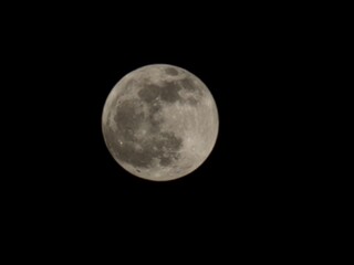 A full moon with visible craters in a dark night sky.
