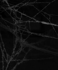 Eerie Black and White Spiderweb Close-Up in Low Light.Intricate cobwebs in an eerie dark setting, evoking mystery, abandonment, and Halloween themes. Perfect for halloween background. Dusty cobweb.