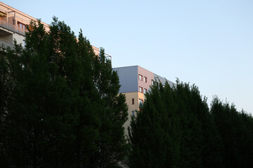 Modern apartment building partially obscured by lush green trees