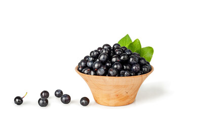 Blueberries isolated on a white background, contour