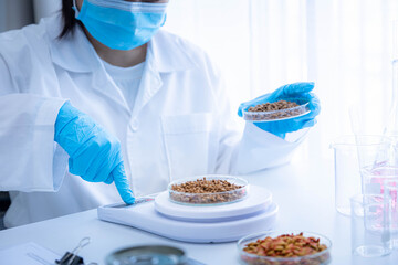 Focused dry pet food on plate. Quality control personnel are weighing dry pet food for inspecting the quality. Quality control process of pet food industry. © Satawat