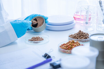 Close up picture of quality control personnel are inspecting the quality of canned pet food. Physical quality inspection. Quality control process of pet food industry.
