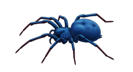 Isolated Blue Spider Full Body, Illustration, Close Up, Insect, Bug, Animal, Nature Creature